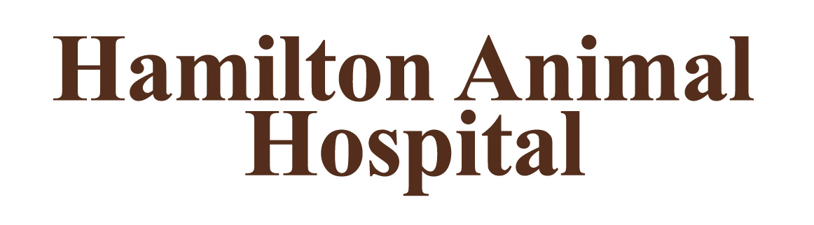 Hamilton Animal Hospital